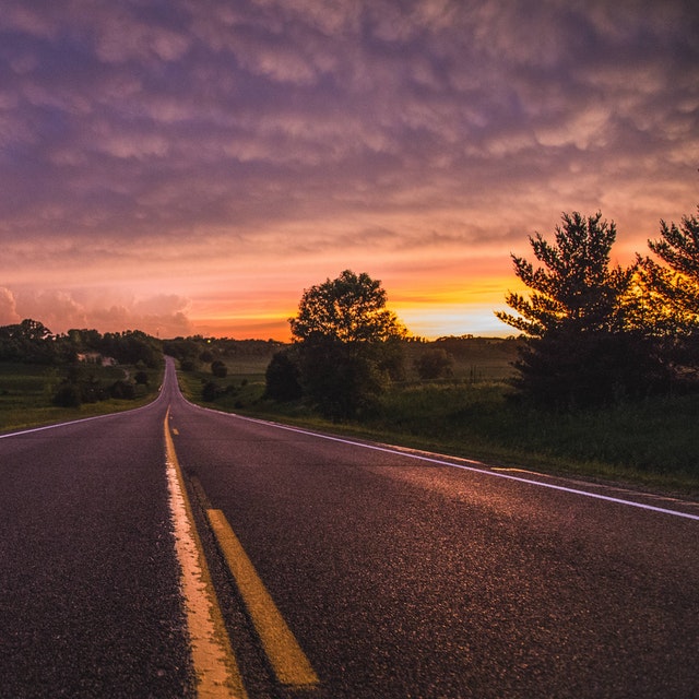 farm road with trees